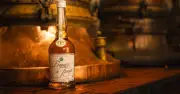 Prunelle de Troyes : une liqueur historique née dans un cellier médiéval