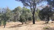 Prévention incendie : débroussaillement d'urgence à Babeau-Bouldoux