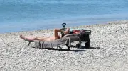 Pétition contre l'interdiction du naturisme à la plage du Prévost : près de 1200 signataires