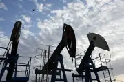 Pétrole en baisse : le gouvernement français veut une baisse rapide des prix des carburants