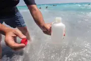 Qualité des eaux de baignade dans les Alpes-Maritimes : un bilan estival positif