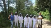 Quand les abeilles viennent à l'école : une leçon de nature