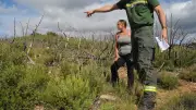 Quatre ans après l'incendie d'Aumelas, la garrigue renaît