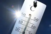 Quiz canicule : testez vos connaissances sur les vagues de chaleur