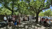 Rallye du Petit Citoyen : une cinquantaine d'élèves initiés à la citoyenneté