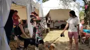 Refuge de Beaucaire lance un appel urgent aux bénévoles
