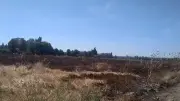 Remoulins : un homme interpellé pour deux départs de feu
