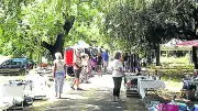 Rencontres de la biosphère de Camargue : belles rencontres malgré une faible affluence