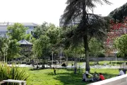 Rendez-vous au jardin à Toulon : pique-nique, concert, ateliers