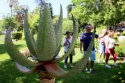 Rendez-vous aux jardins à Fréjus : visites gratuites sur le thème de la vue