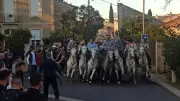 Saint-Brès : 40e fête d'été avec traditions camarguaises et DJs