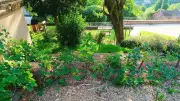 À Saint-Laurent-d'Olt, les élèves cultivent leur jardin pédagogique
