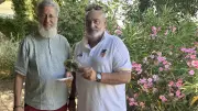 Saint-Maximin lance une campagne pour sauver les hirondelles