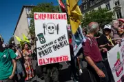 Scandale du chlordécone : une loi sur la responsabilité de l'État adoptée