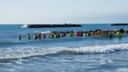 S'initier au longe-côte avec Les Pingouins de Valras