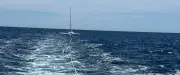 SNSM de Sète secourt un voilier en avarie moteur avec quatre personnes à bord
