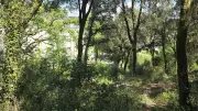 Soirée nature : découverte de la biodiversité forestière aux Fonzeaux