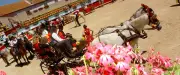 Sortir à Montpellier : Romeria, transhumance, 34 degrés… ce week-end du 5 au 7 juin