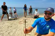 Sous une plage du Var, des scientifiques explorent un écosystème souterrain méconnu