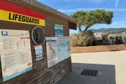 Surveillance des plages : ouverture ce week-end à La Seyne