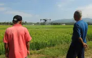 Tensions autour du projet de loi agricole au Sénat
