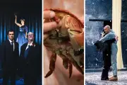 Théâtre, musique et danse : les spectacles à voir en ce moment