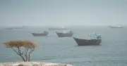 Tir iranien sur un porte-conteneurs au détroit d'Ormuz, l'OMI suspend l'évacuation