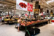 Tomates marocaines : pourquoi elles inquiètent les producteurs français