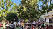 Total Festum : une fête occitane conviviale au parc du Rouret