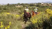 Trec : l’Écurie du Sud au cœur du championnat régional à Magalas