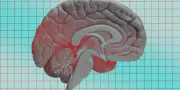 Un composant optique entraîne des réseaux de neurones efficacement