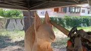 Un pin parasol transformé en sculpture d'écureuil à Villeneuve-lès-Béziers