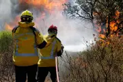 Var : accès réglementé aux massifs forestiers pour prévenir les feux dès le 8 juin