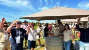 Vignes toquées : 3 800 marcheurs pour la 16e édition gastronomique