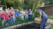 Visite de la pisciculture bio L'Écho des sources dans l'Hérault