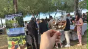 Week-end festif : In Vino Ballestras, Route des Tapas et challenge solidaire