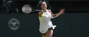 Wimbledon 2026 : dotation record de 64,2 millions de livres, hausse de 20 %