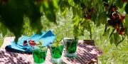YaKa alerte sur des sirops de menthe trop verts au colorant bleu brillant