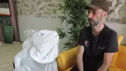 Yann Birgy, artiste aux matériaux recyclés, honoré aux Caudalies