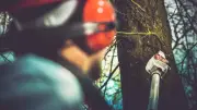 Yvelines : un homme de 63 ans meurt écrasé par un arbre qu'il coupait