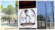 Zoo de Montpellier fermé jusqu'en 2028, mère de Louis témoigne, prison de Nîmes en crise