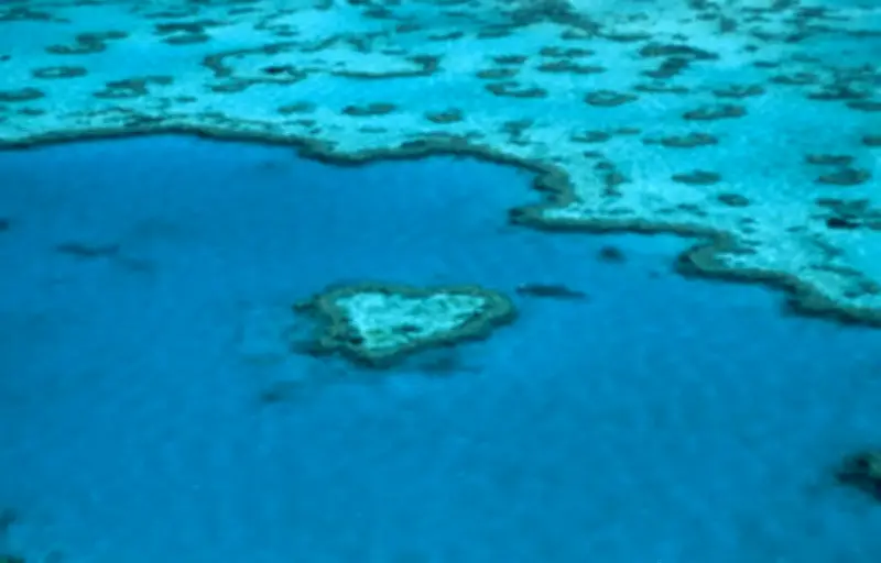 La Grande Barrière de corail échappe à la liste du patrimoine en péril de l'Unesco