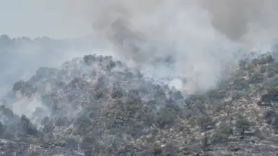 Alerte pollution dans le Gard suite aux incendies en Gironde : mesures d'urgence