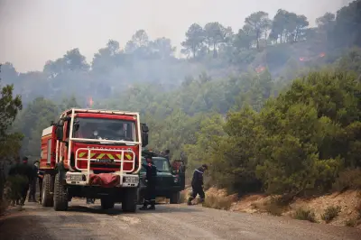 Algérie ravagée par une vague d'incendies inédite