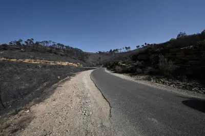 Algérie : une vague historique de feux de forêt frappe le nord du pays