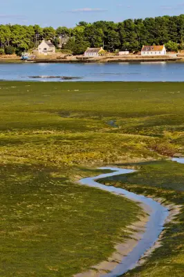 Algues vertes : des pêcheurs du Morbihan témoignent des difficultés