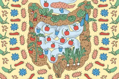 Alimentation idéale pour un microbiote intestinal en bonne santé : les secrets