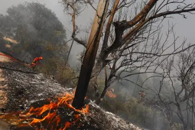Alpes-Maritimes : un camping se prépare au pire scénario incendie