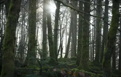 Appel à la nature : l'argument fallacieux qui exploite nos biais