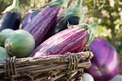 Aubergine : on dirait le Sud, un légume star de l'été
